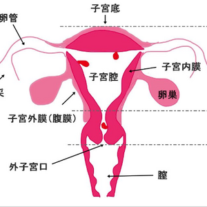 キャプチャ