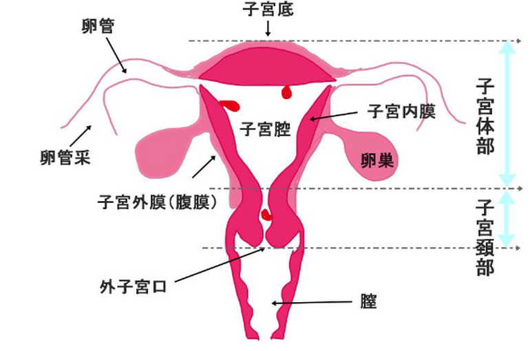 キャプチャ