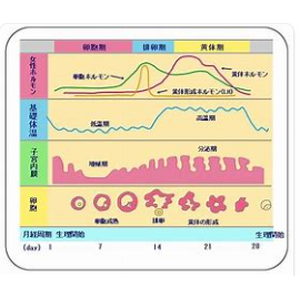 キャプチャ