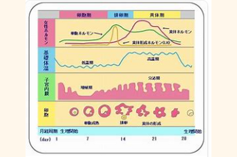 キャプチャ